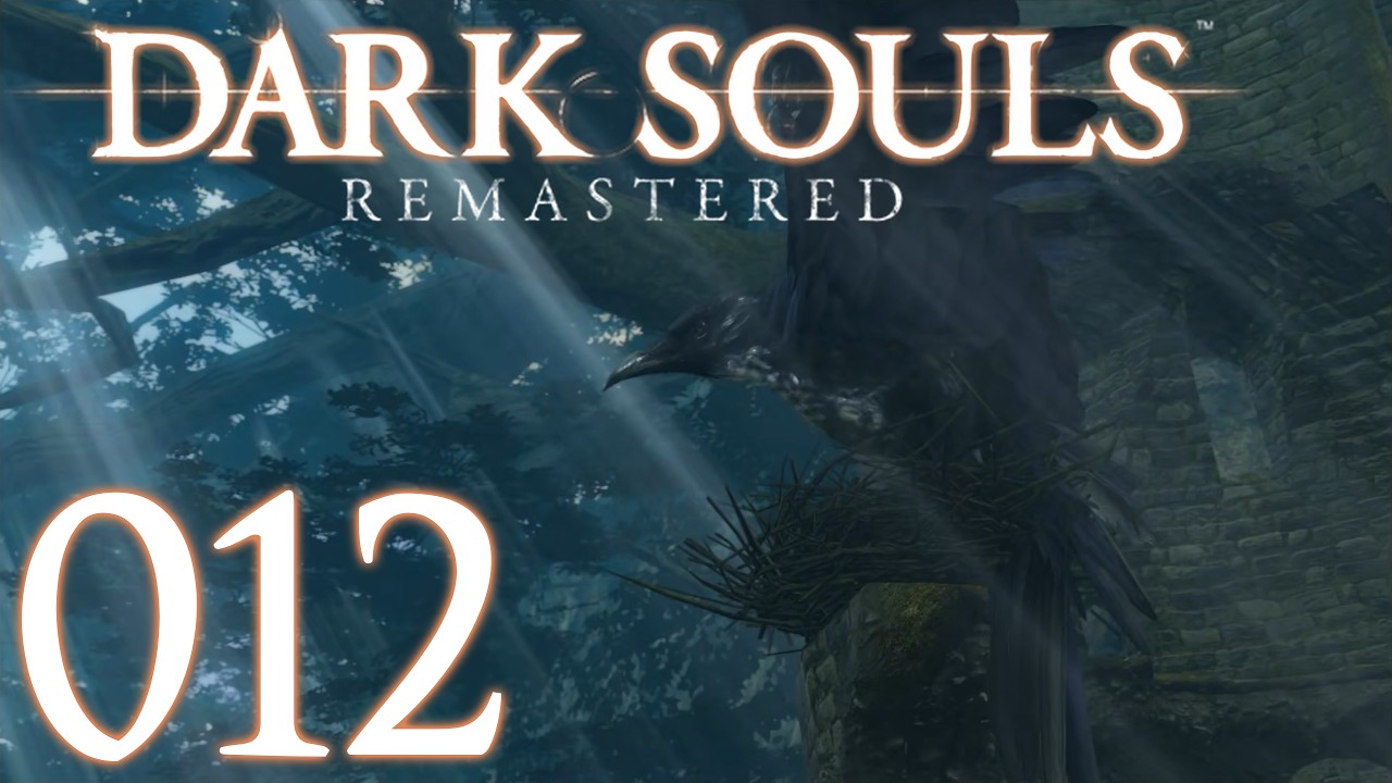 Dark Souls Remastered [012] - Vogel Transport