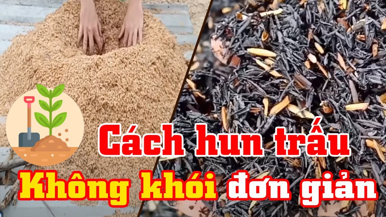 Cách hun trấu nguyên hạt không khói đơn giản nhất l Vườn Xương Rồng Hoàng Toàn