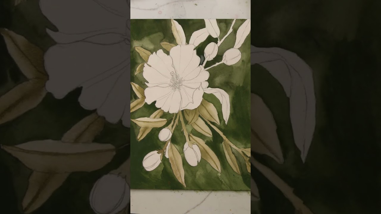 Vintage Botanical Painting of White Flower with Watercolor + Gouache