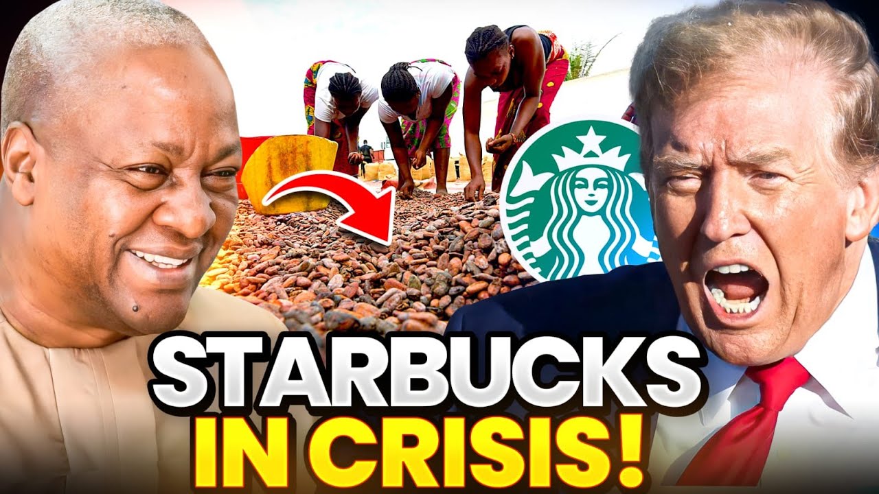 Shocking! Ghana STOPS Raw Cocoa Exports to Europe and America