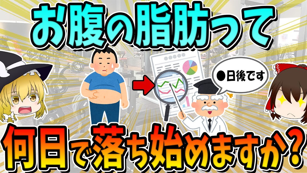 お腹の脂肪って何日で落ち始めますか？