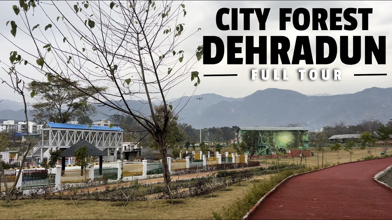 City Forest Dehradun 🌳 | Full Tour | Best Morning Walk Spot in Uttarakhand | Hidden Gem
