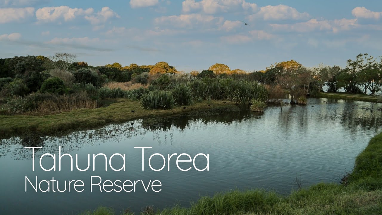 Tahuna Torea Nature Reserve