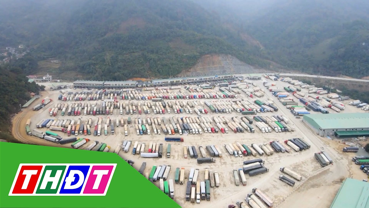 Hải quan ưu tiên hàng hóa trước ảnh hưởng xung đột Trung Đông | THDT