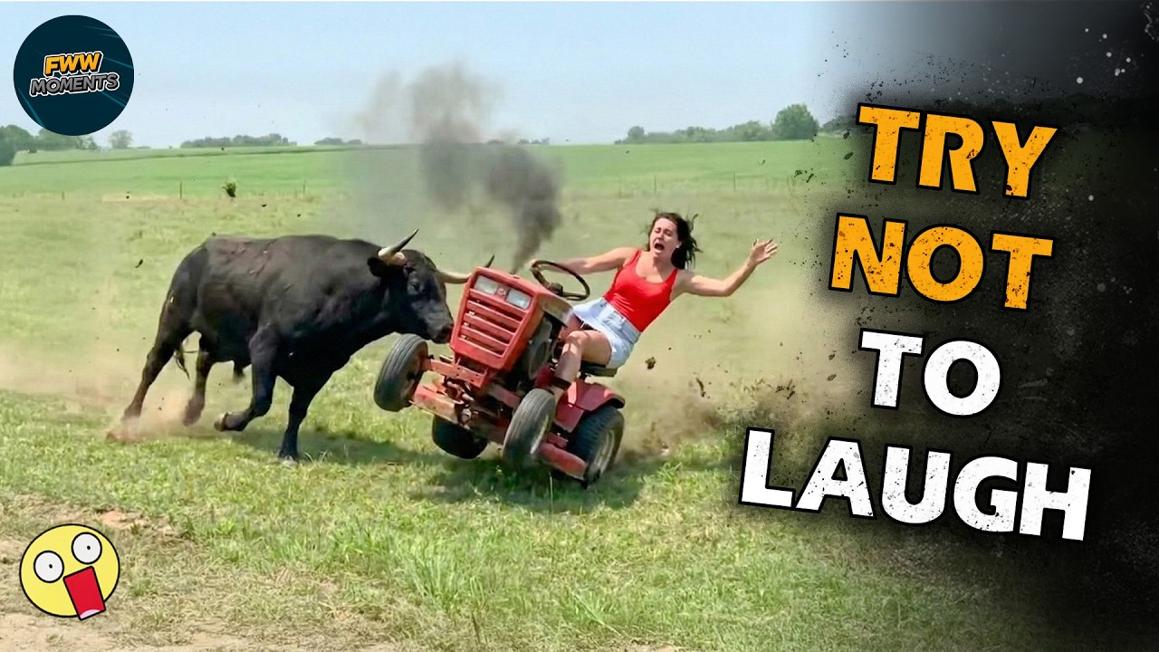Try Not To Laugh 🤣 Top 100 Funniest Videos Ever 😆😂 Memes, Epic Fails & Pranks Compilation Part 82