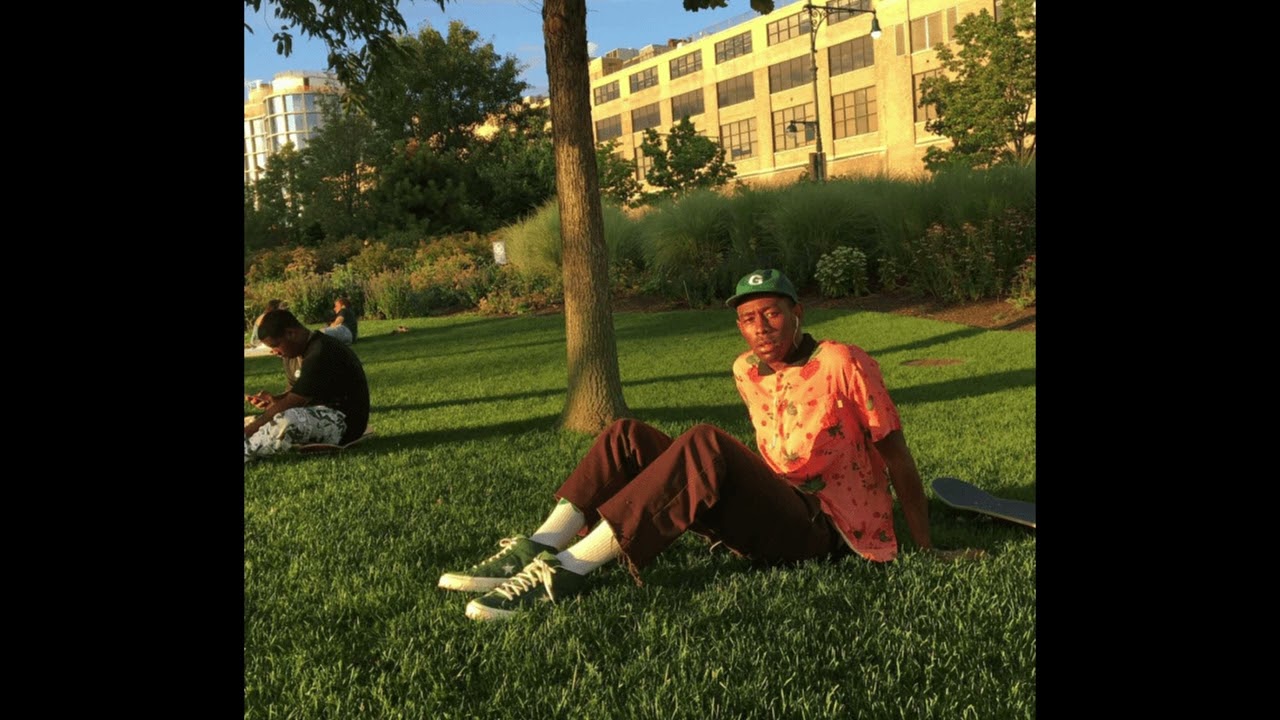 TYLER THE CREATOR FLOWER BOY TYPE BEAT - SUNLIGHT