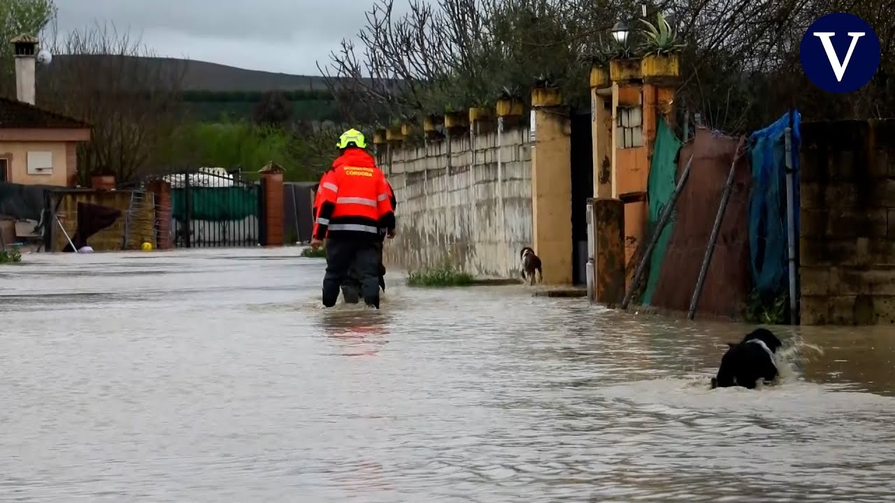 Desalojadas parcelaciones en Córdoba donde el Guadalquivir está en nivel de desbordamiento
