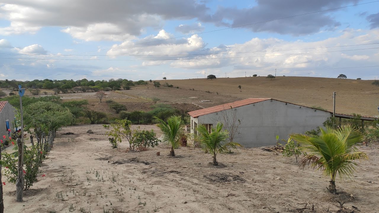CHÁCARA COM 7000 M² PERTO DA CIDADE POR APENAS 130 MIL REAIS
