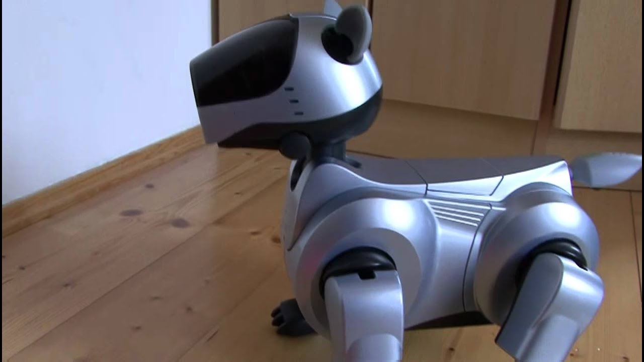 Sony AIBO ERS 210