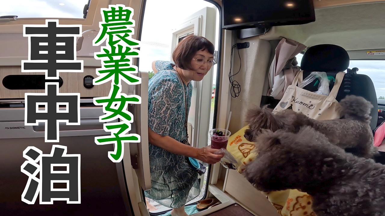 驚き！猿田彦BASEでの雨中車中泊とずぶ濡れ西瓜収穫