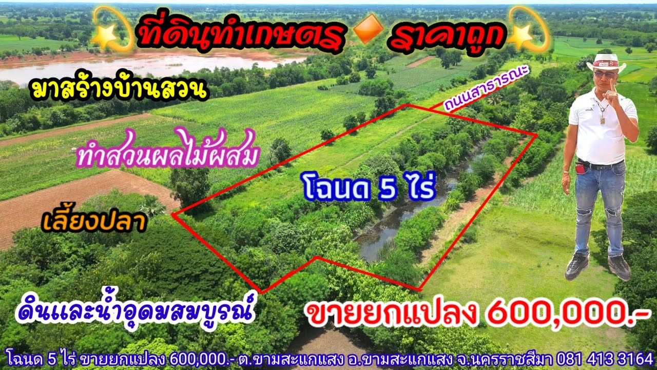 Ep.1086 (ขายแล้ว)ที่ดินทำสวนผสม ดินดีมากๆ โฉนด 5 ไร่ ขายยกแปลง 600,000.- ใกล้ตลาดขามสะแกแสง 3 กม.