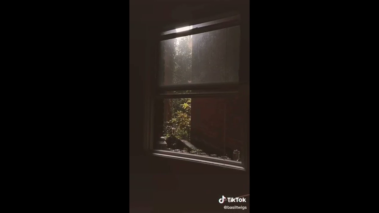 Dark academia, GoblinCore early Autumn TikToks