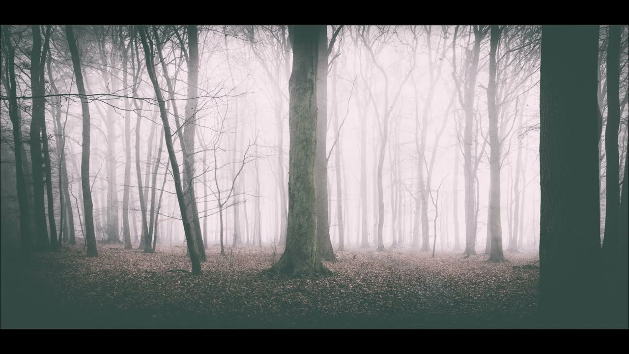Im Nebel - Gedicht von Hermann Hesse