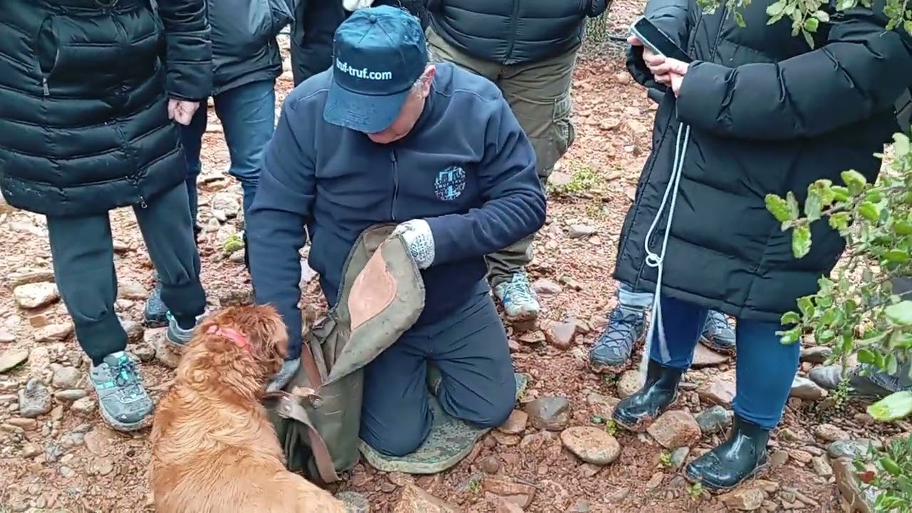 Experiència trufera 17/01/26