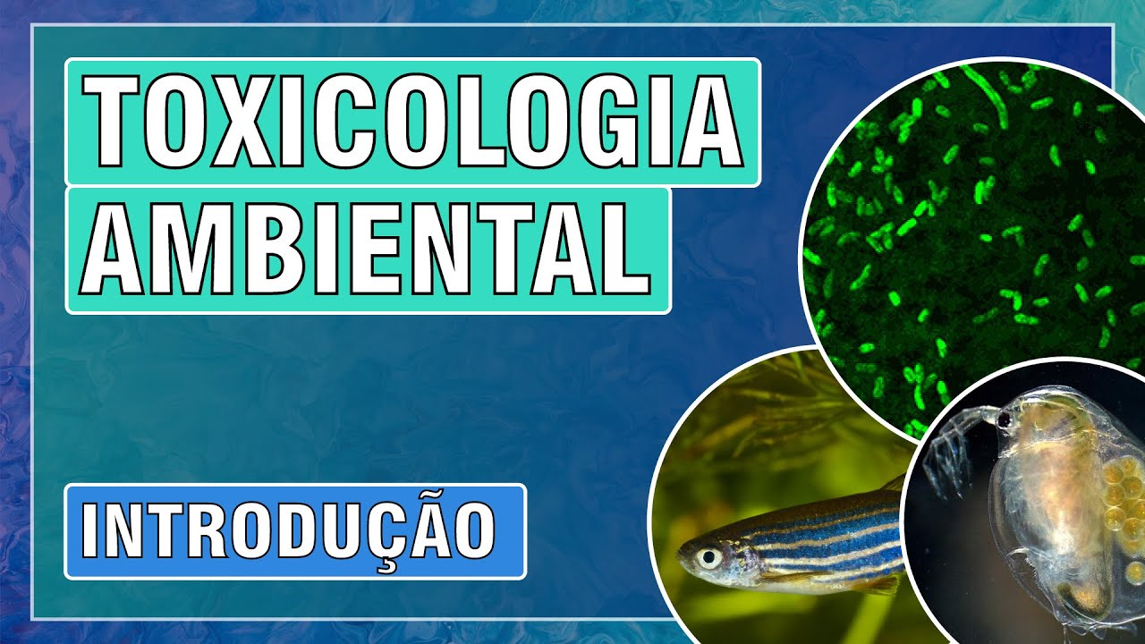 TOXICOLOGIA AMBIENTAL - AULA 1 - CONCEITOS BÁSICOS