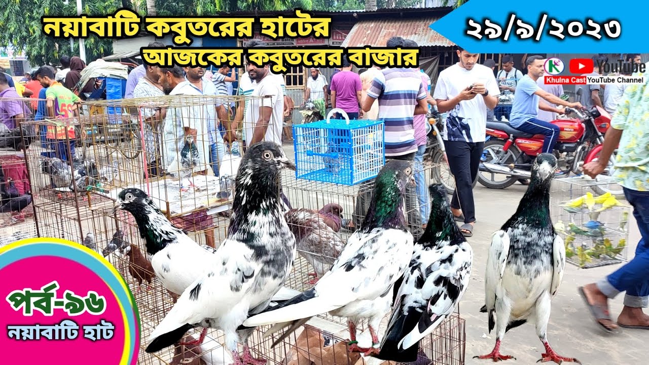 সবথেকে বড় কবুতরের হাট পর্ব-৯৬ Largest pigeon market in Khulna খালিশপুর, নয়াবাটি, চিত্রালী, খুলনা