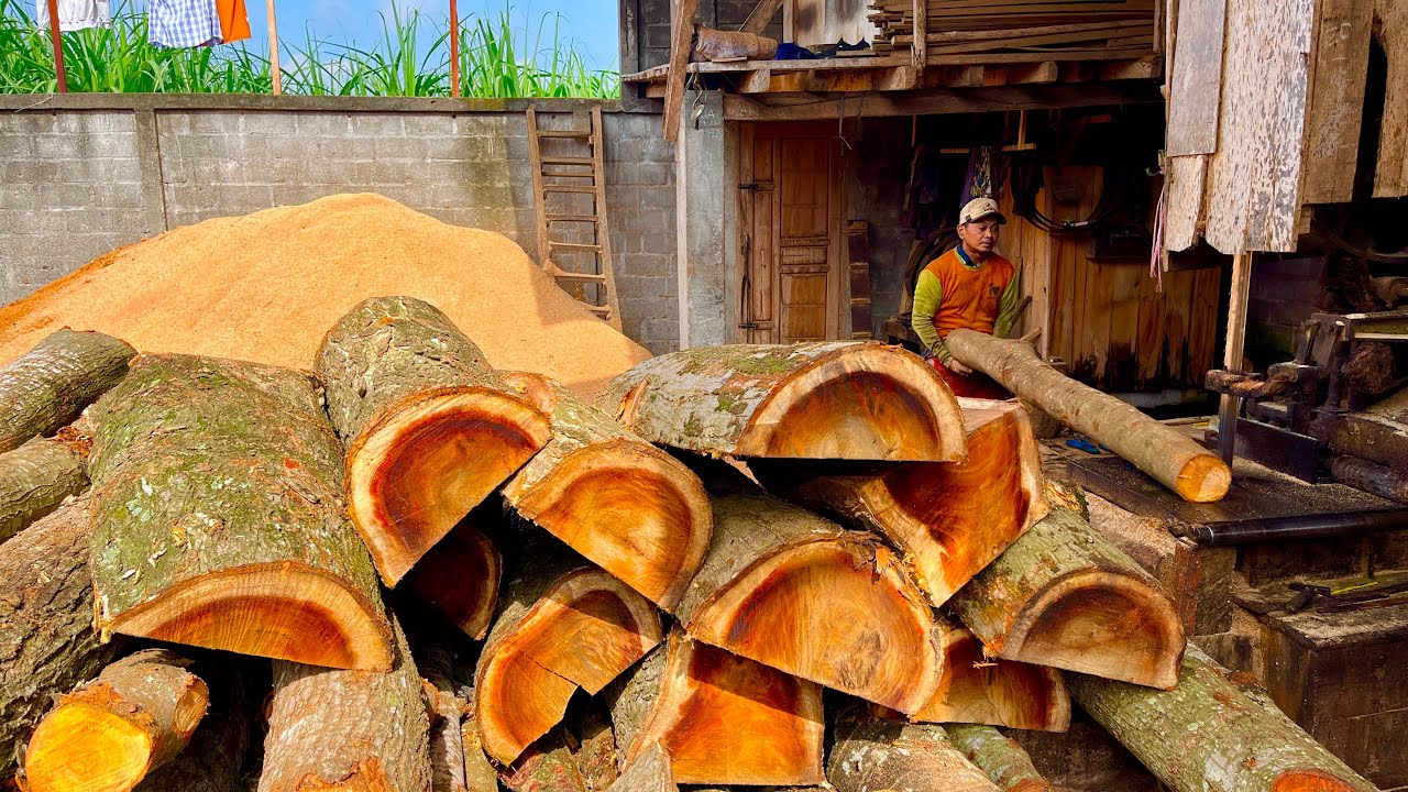 AWESOME!! Brutal Attack by Sawmill Operator While Sawing Trembesi Wood for Blocks.