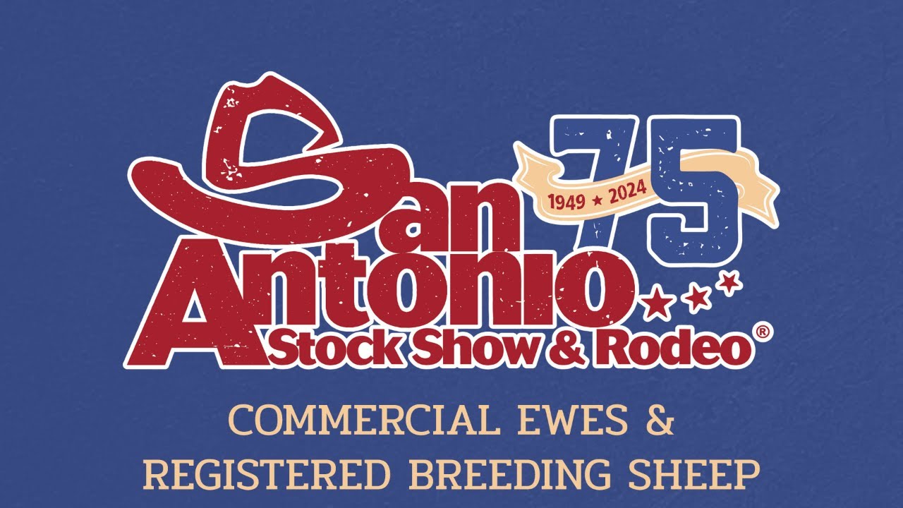 San Antonio 2024 - Commercial Ewes and Registered Breeding Sheep