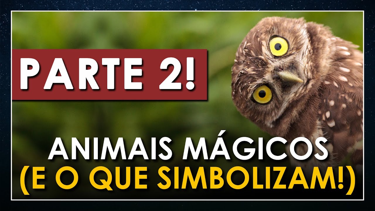A Simbologia dos Animais na Magia e Alquimia - PARTE 2!