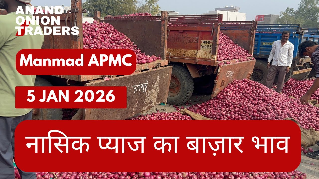 नाशिक प्याज आज का ताज़ा भाव 😱 | Manmad APMC Onion Rate Today 5 January 2026