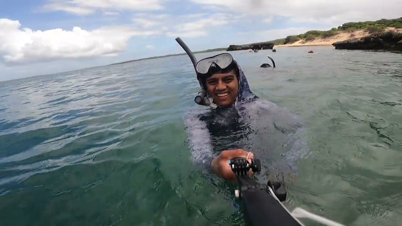Snorkeling off Santa Maria  inhaca Island #msc #fishinglife