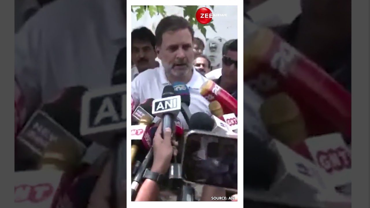 Lok Sabha Elections 2024: Congress&rsquo; Rahul Gandhi Attacks BJP Duriing His Campaign Rally in Wayanad