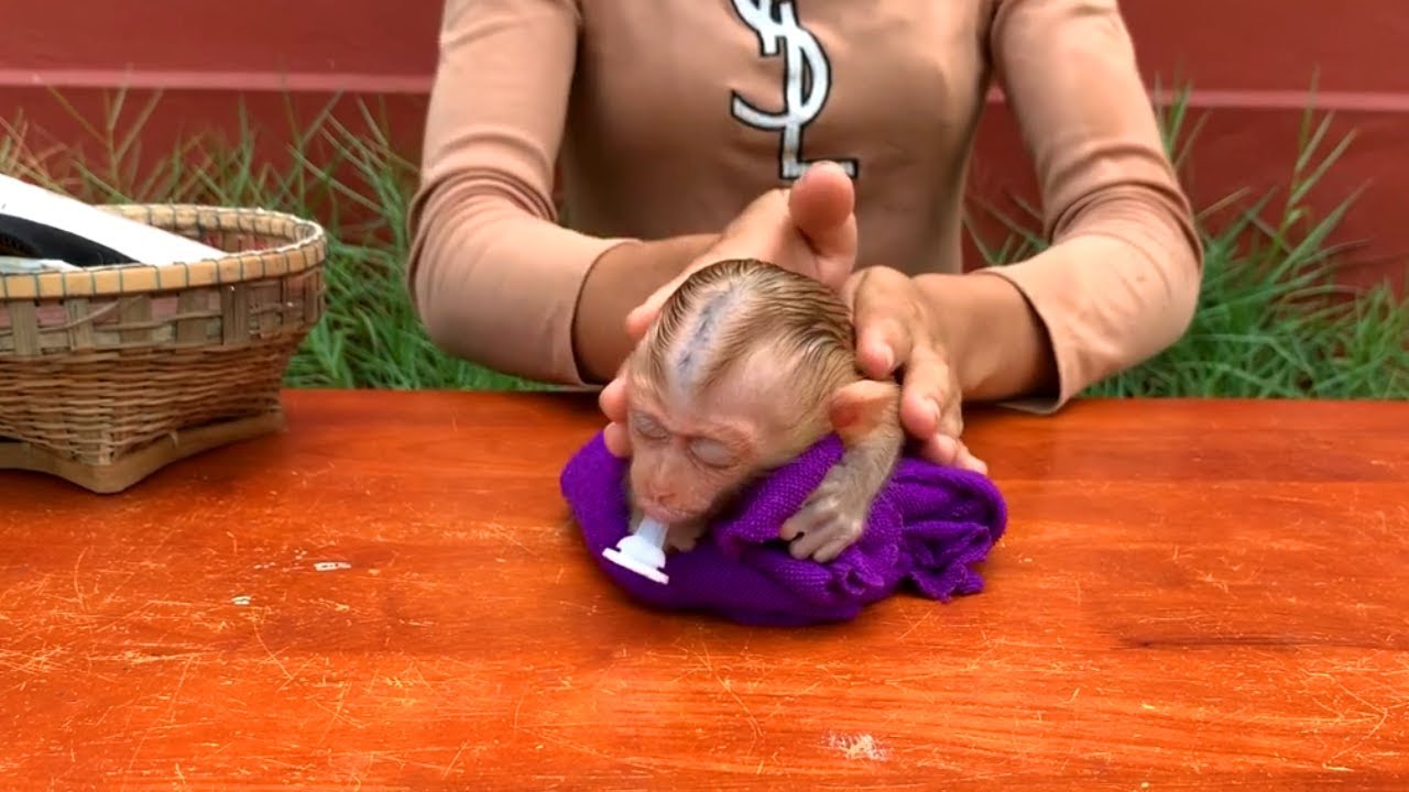 Babi Tourtour Vry C0mfy When Mom Use Babi Lotion After Bath