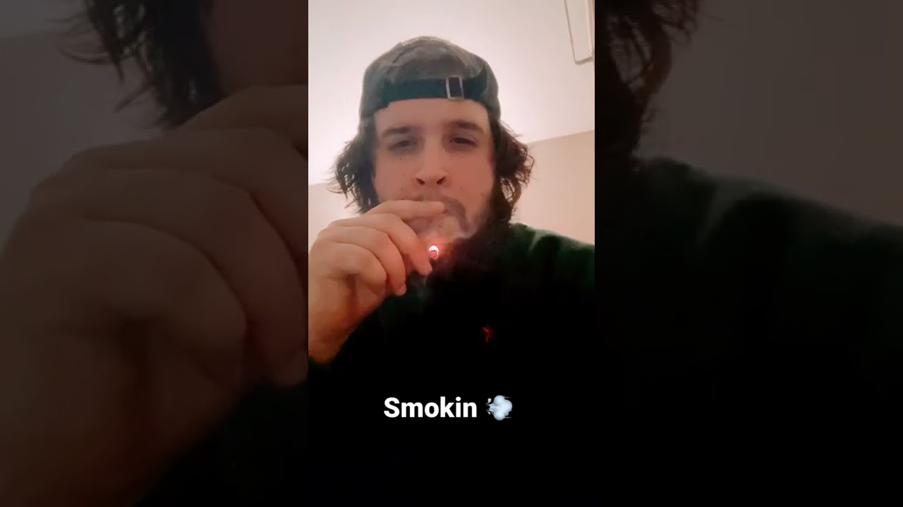 Bluntsesh