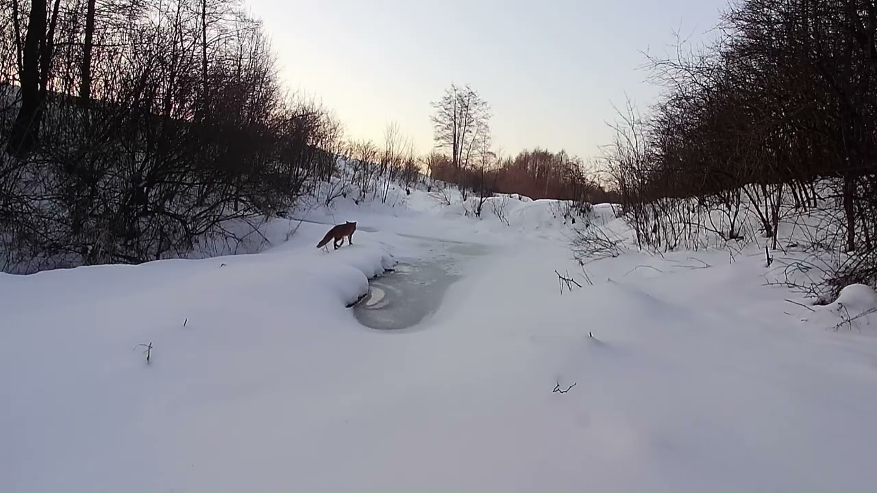 Zima w Beskidzie Niskim
