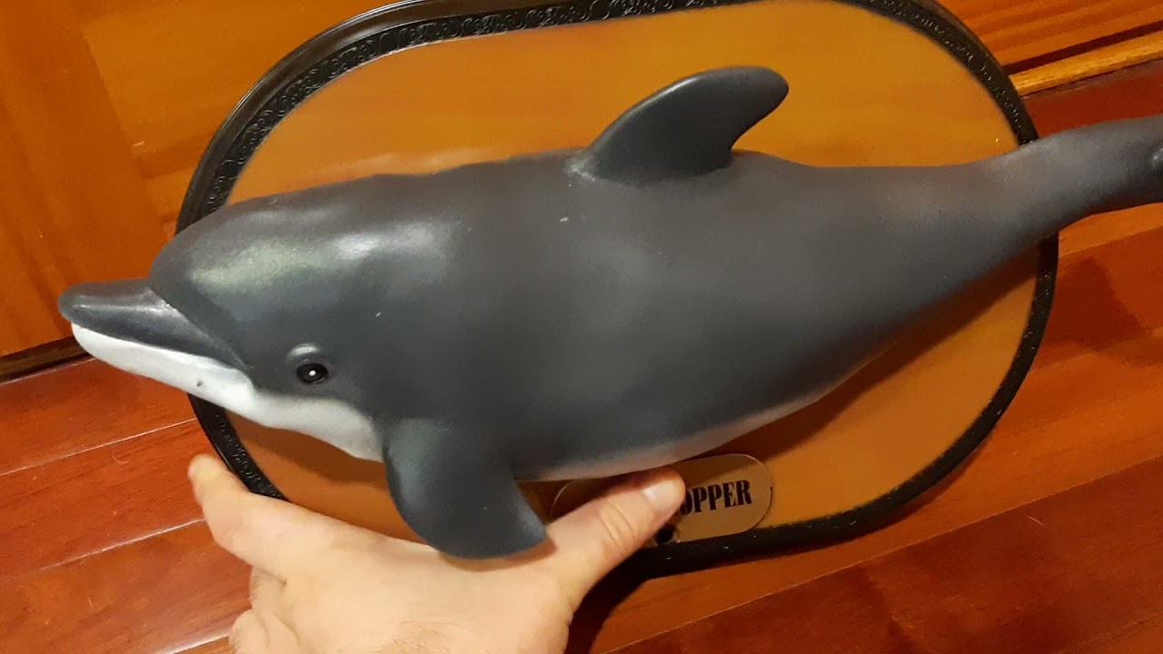 Bubble Bopper Dolphin