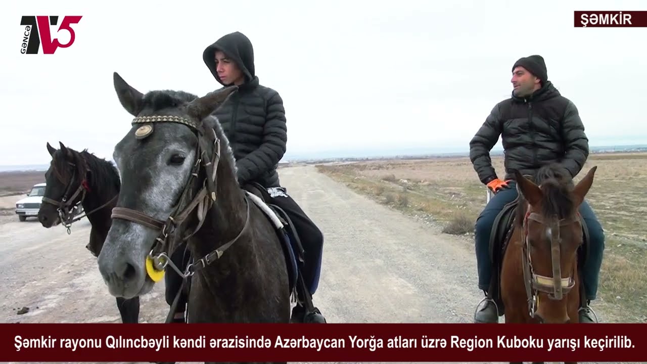 Şəmkirin Qılıncbəyli kəndi ərazisində Azərbaycan Yorğa atları üzrə Region Kuboku yarışı keçirilib