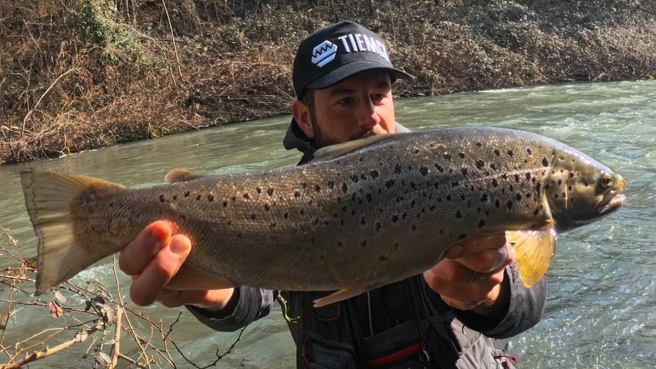 Artificiale  artigianale tuttofare 🐟🐊