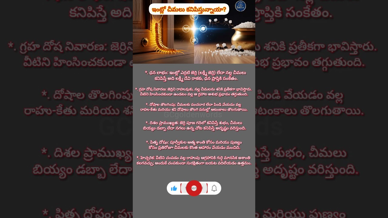 చీమలు, జెర్రీలు ఇంట్లో కనిపిస్తే శుభమా? అశుభమా? #Vastu Tips #Shorts#TeluguDevotional #SpiritualFacts