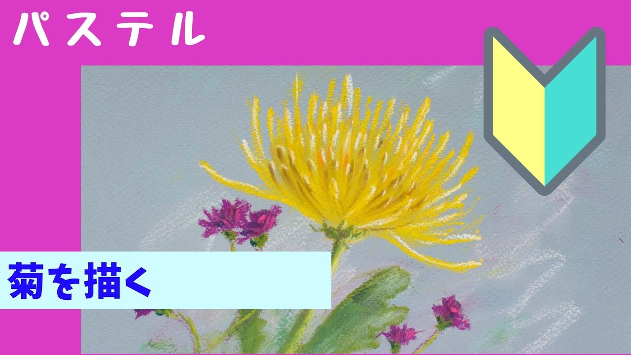 【初心者向け  パステルで菊を描く pastel】