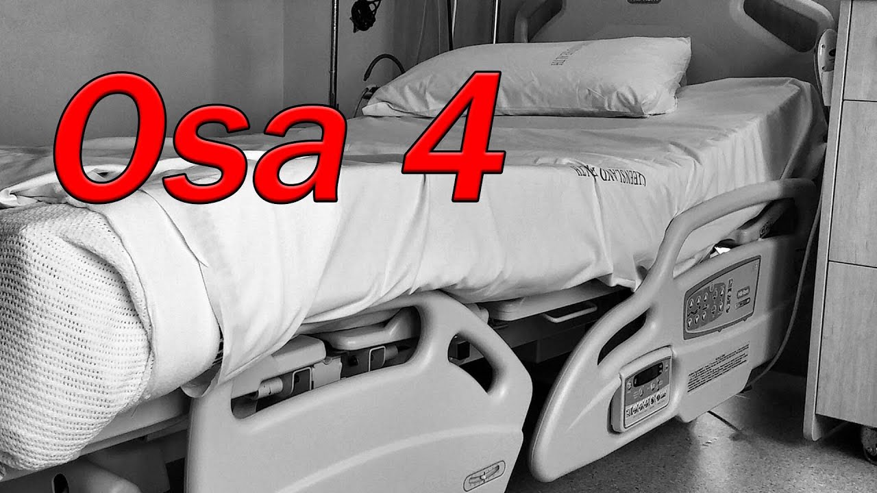 Äänikirja: Elämän tarkoitus, osa4