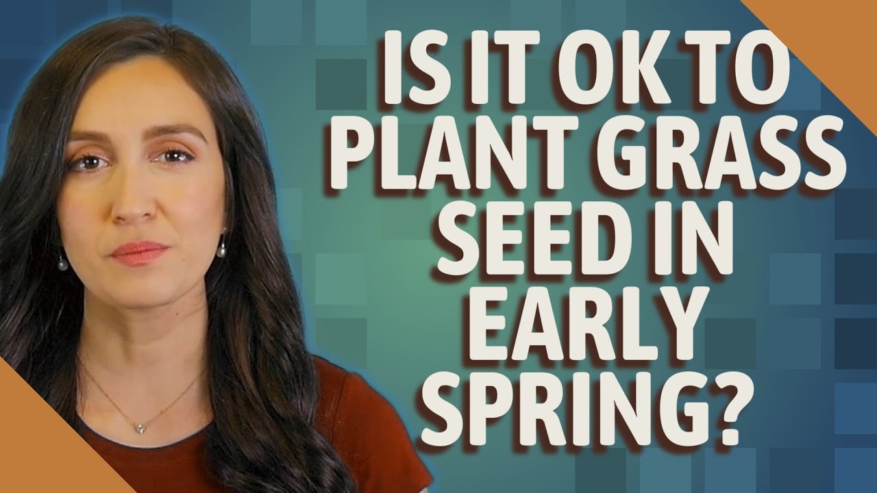 Is it OK to plant grass seed in early spring?
