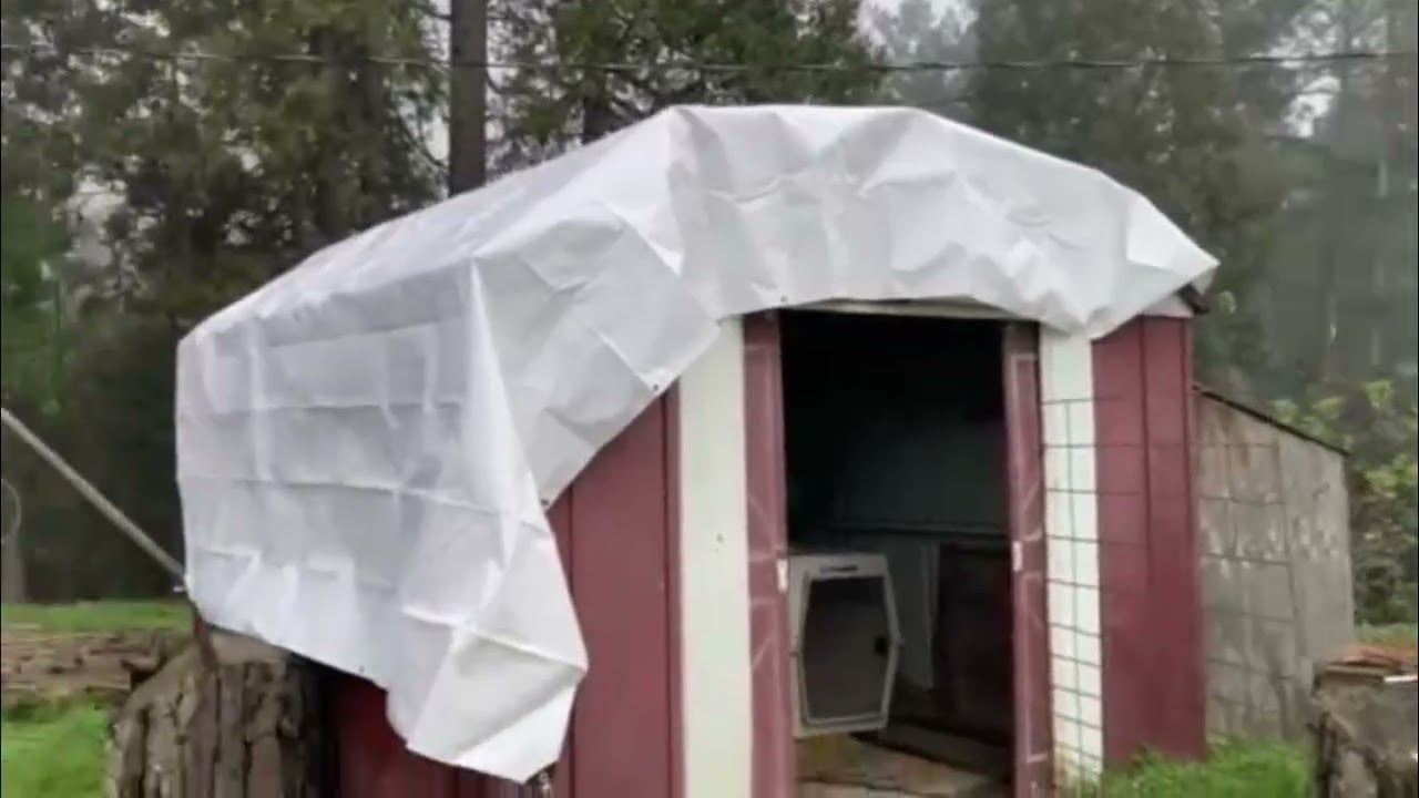Oh it's that time again, time to start preparing for our baby goats. What is the first thing??