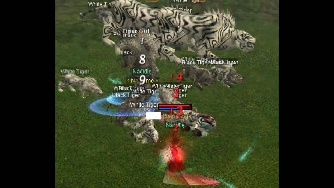 Swiorek Killed TG #2 Rsro