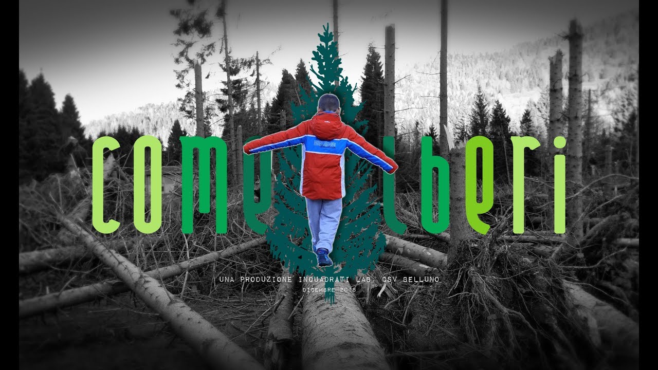 COMEALBERI - cortometraggio sull'alluvione di fine ottobre nel Bellunese 2018