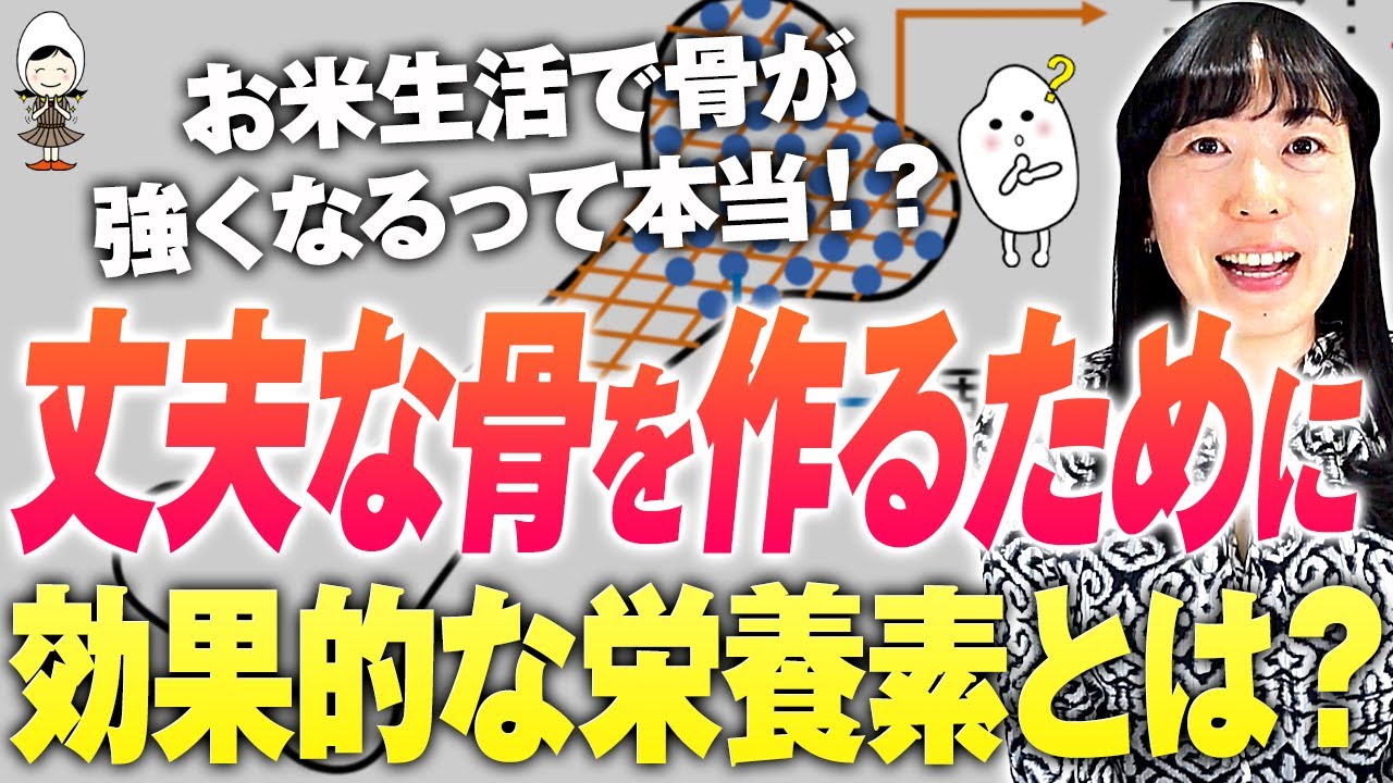 【骨を強くする3つの栄養素】現代人の食事、戦後同等！？骨の構造徹底解説！効果的に骨を強くするためのポイント【たんぱく質】【アミノ酸】【カルシウム】【骨粗鬆症】【お米生活６：４】