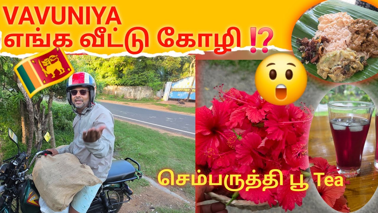 Ep 5 | 🇱🇰  A Day in Vavuniya || நாட்டுக்கோழி சமையல் | Vavuniya | 2025