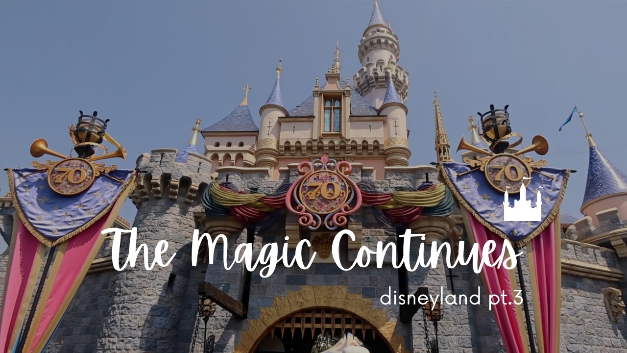 Last Day at Disneyland Park… 🏰 | Day 3