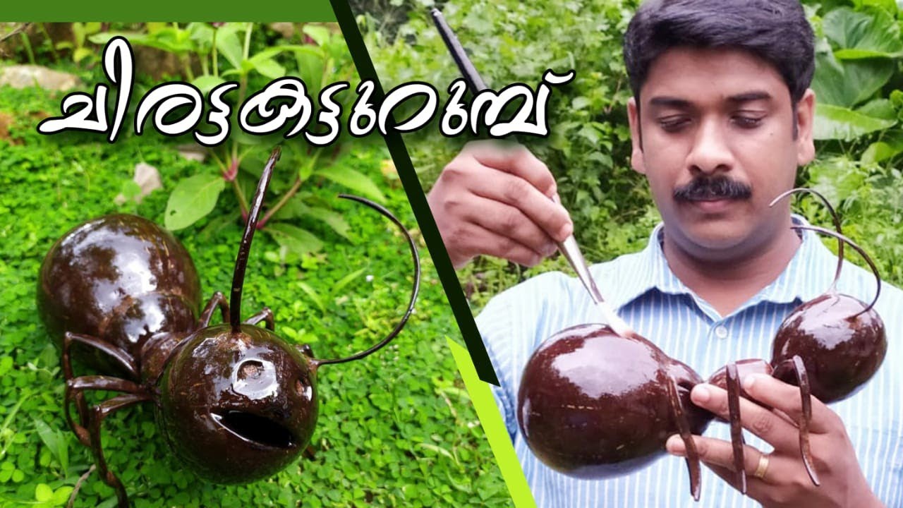 Coconut shell craft ideas / Coconut Shell Craft ideas Easy Malayalam