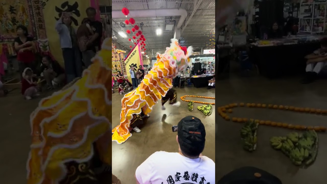 On Ngai/Jiu Long joint lion dance 2