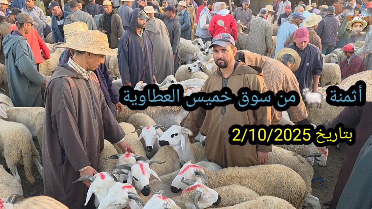  📹 من سوق خميس العطاوية مع أثمنة 🐑🐏 بتاريخ 2/10/2025 #المواشي_المغرب🇲🇦
