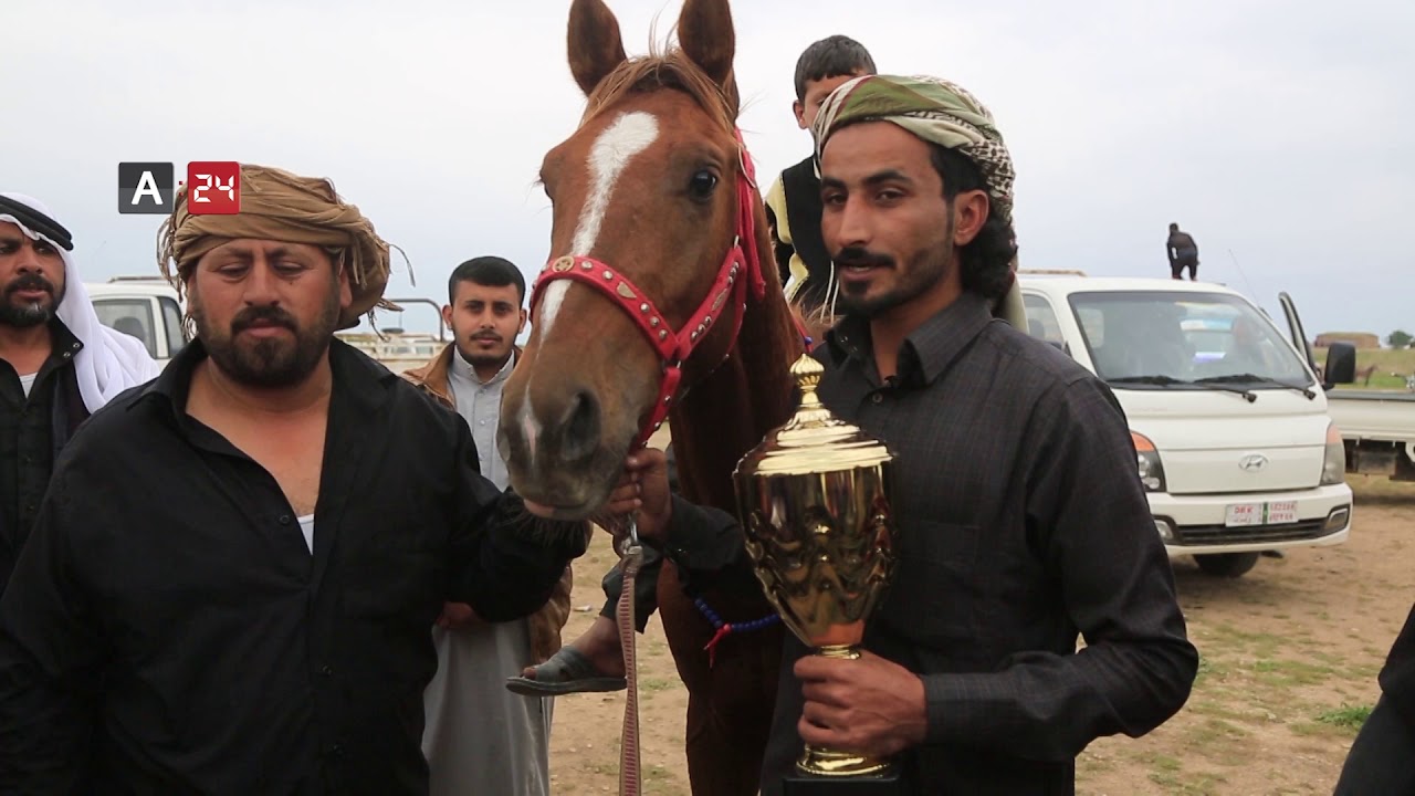 Syria | 7th Arabian Horse Racing Festival kicks off in Hasaka