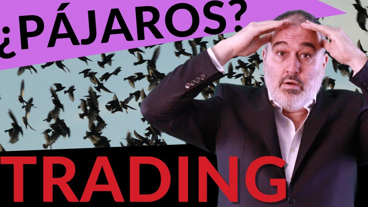 ¡No lo vas a creer!🤯 3 ALGORITMOS para ACELERAR la OPTIMIZACIÓN (Optimización de robots de Trading)🤖
