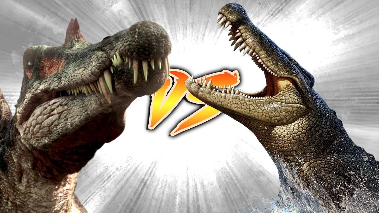 SPINOSAURUS VS SARCOSUCHUS [Who Would Win?]