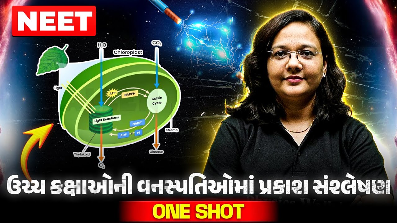 ઉચ્ચ કક્ષાઓની વનસ્પતિઓમાં પ્રકાશ સંશ્લેષણ in One Shot | COMPLETE BOTANY | NEET 2025