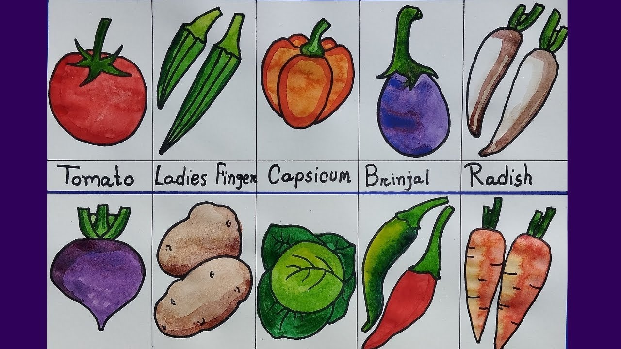 10 vegetables drawing with colour | vegetables drawing and colouring and name